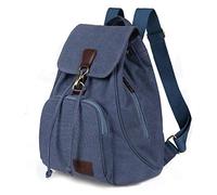 pinsheng Sac À Dos Rétro Coréen Sac De Toile De Commerce Extérieur Transfrontalier Marée Étudiante De Mode Décontractée Rétro Féminine, Bleu Lac