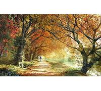 Pintoo Casse-tête de 1000 pièces pour adultes - Dominic Davison - Forever Autumn Beau puzzle en plastique pour décoration d'intérieur, zéro poussière, rangement facile [H2227]