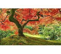 Pintoo - H2296 - Jardin japonais à Portland - Puzzle en plastique de 1000 pièces
