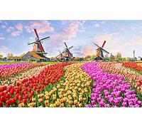Pintoo - H2324 - Zaanse Schans, Pays-Bas - Puzzle plastique de 1000 pièces