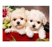Pintoo - P1073 - Puppies in gift box - 150Piece mini Plastic puzzle G
