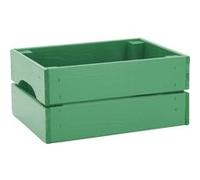 Pinus - Caisse de rangement en pin petit modèle 31 x 23 x 15 cm Vert menthe Vert G