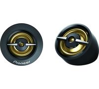 Pioneer TS-A301TW