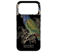 Pionus Vintage à tête Bleue Observation des Oiseaux Nature Amour Oiseaux Coque pour iPhone 17 Pro Max
