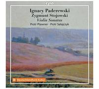 Piotr Plawner Piotr Salajczyk - Violin Sonatas [Compact Discs]