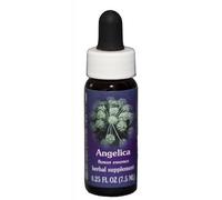 Pipette Angelica 0,25 Oz Par Flower Essence Services