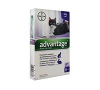 Pipette anti-puces - ADVANTAGE - Advantage 80 - Chat >4 kg - Lapin - Traitement et prévention