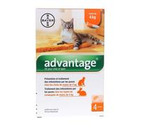 Pipette anti-puces - BAYER - Advantage Chat <4 kg - 4 x 0,4 ml - Tue les puces 24h - Protection 3-4 sem