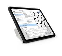 Pipetto Origami No1 Original Case Black iPad Pro 11 (2024)