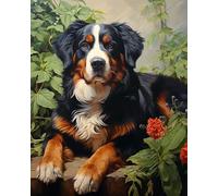 PIPISKY Peinture par numéro pour adultes,Bouvier bernois loyal et courageux,Transformez le stress en art avec nos kits de peinture à l'huile,40x50cm,Sans cadre