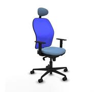 Piqueras y Crespo Chaise ergonomique Jorquera pour personnes de grande taille avec dossier fixe, tête de lit fixe, support lombaire 1D, accoudoirs 1D et mécanisme synchrone en 5 positions, couleur