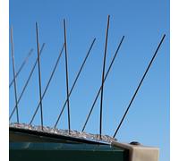 Piques Anti-Pigeons en Acier Inoxydable A2-0,5 m - 5 m - 10 m - Résistant aux UV et antirouille 2-reihig | 10m