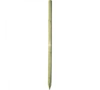 Piquet cloture de ligne Ako Octo Wood Beige 180x80 cm