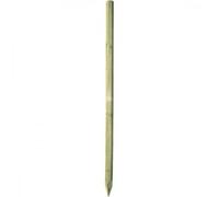 Piquet cloture de ligne Ako Octo Wood Beige 225x80 cm