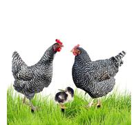 Piquet de jardin de poules : décoration de poulet en métal | Piquets à fen extérieur | Art de jardin en heng | 3 fois fer forgé robuste, pics résistants aux intempéries pour jardinage