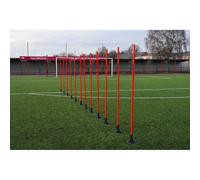 Precision Slalom Pole 12 Units Bleu 170 cm