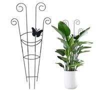 Piquet en Treillis pour Patio arrière : étagère de Levage de pousses en, pour Produits rampants, échelles de Floraison botanique en étain, métallique pour Feuilles extérieures