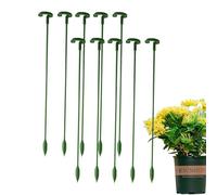 Piquet pour - Proportion de de Jardin - 10 bâtonnets de Support d'orchidées - Support de Fleurs pour d'intérieur - Potager - Orchidée - Rose - Tomate - Lys - Phalaenopsis
