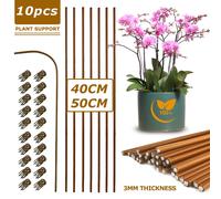 Piquets de plantes pliables,10 pièces,16 pouces/19,65 pouces,piquets de Support de plantes à tige unique pour plantes d'intérieur,plantes en pot,fleurs - Type Brown-Set-40CM-10PCS