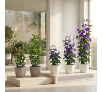 Piquets de support réglables pour plantes grimpantes avec trois sections de réglage de la hauteur pour vignes, clématites, gloires du matin et lierre
