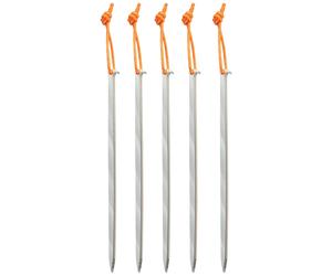 Piquets de tente Outdoor Dart 16 cm - 5 pcs. Highlander