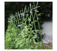 Piquets pour plantes de jardin, piquets de support pour tomates pour cultiver des plantes grimpantes - Mât de support en métal revêtu de plastique pour vigne de raisin