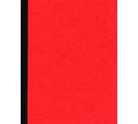 PIQURE COMPTABLE 5COL/1P 310X210 100 P.