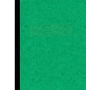 PIQURE COMPTALBE 4COL/1P 320X240 100 P.