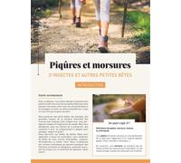 Piqûres et morsures d'insectes et autres petites bêtes