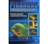 Piranhas aquarium G
