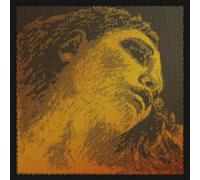 Pirastro Evah Pirazzi GOLD cordes de violon 4/4 LOT E-kg. o Schl. G-ARGENT, m...