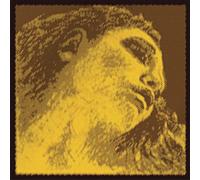 Pirastro Evah Pirazzi Gold Wound G Jeu de cordes pour violon Calibre moyen