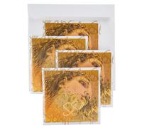 Pirastro Pirastro Evah Pirazzi Slap Strings Set