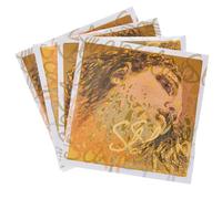 Pirastro Pirastro Evah Pirazzi Slap Strings Syn.