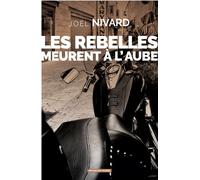 Pirates de la côte - Philippe Schnepf - Moissons noires - broché - Roman