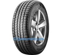 Pirelli Scorpion Ice & Snow ( 255/50 R19 107H XL, MO, avec protège-jante (MFS) )