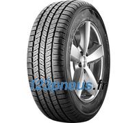 Pirelli Scorpion Ice & Snow ( 255/50 R19 107H XL, MO, avec protège-jante (MFS) )