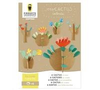 Pirouette Cacahouète Kit créatifs mes Cactus colorés