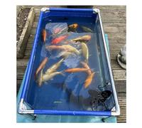 Piscine d'aquarium avec fenêtre transparente et cadre en acier inoxydable, réservoir flexible pour tortues et poissons, montage facile