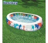 Piscine Élliptique Jardin Piscine Baignoire 229x152x51cm