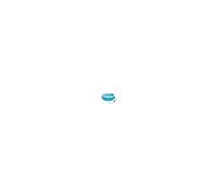 Piscine Hors-Sol Autoportante Gonflable Bestway Fast Set 244x66 cm Filtre à cartouche 1.249 litres/heure G