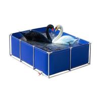 Piscine hors sol, cadre en acier, piscine de jardin durable pour les familles et les enfants, assemblage facile, comprend un patch de réparation