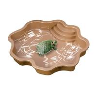 Piscine pour Tortues, Grande Baignoire pour Tortues Reptiles, Bol d'alimentation pour Tortues, Habitat pour Lézards avec Rampe, Bol d'alimentation pour Tortues, Habitat pour Petites Tortues Geckos