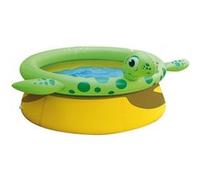 Piscine tortue G