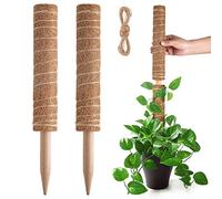 Pisol Poteau de Mousse, Support de bâtons de Plantes Extensibles, Piquets de Plantes pour Plante en Pot d'intérieur, Treillis de Plantes en Pot de Coco de 40cm pour Pothos et Autres Plantes Grimpantes