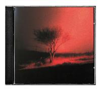Joji – Piss in the Wind – CD – Universal Music Group