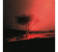 Piss in the Wind by Joji [CD] NEUF