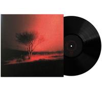 Piss In The Wind Vinyle