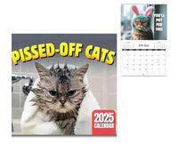 Pissed-off Cats Calendar 2025 | Calendrier Chaton En Colère | Calendrier Mural Drôle De Chat Pour Les Amoureux Des Chats | Planificateur De Calendrier Mural Suspendu De 12 Mois