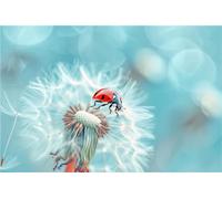 Pissenlit 5D Peinture Diamant Complet Adulte, Coccinelle Diamond Painting Bricolage Cristal Strass Point De Croix Artisanat Mosaique kit de Broderie au décoration Murale pour la Maison, 80x120cm